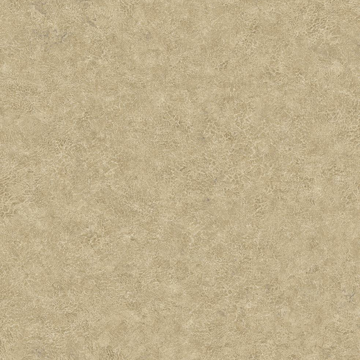 BV30605 Обои KT Exclusive Texture Gallery