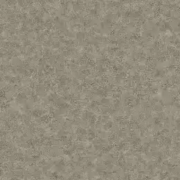 BV30608 Обои KT Exclusive Texture Gallery