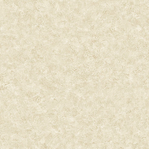BV30625 Обои KT Exclusive Texture Gallery