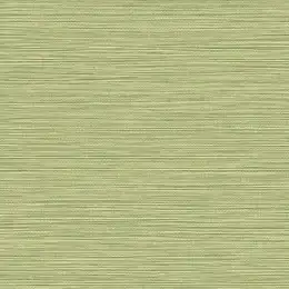 BV30104 Обои KT Exclusive Texture Gallery