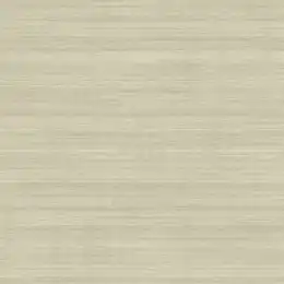 RC11006 Обои KT Exclusive Textures
