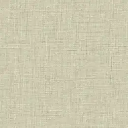 BV30207 Обои KT Exclusive Texture Gallery