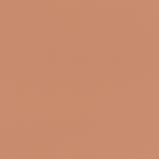 807608 Обои Rasch Salsa
