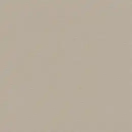 448566 Обои Rasch Salsa