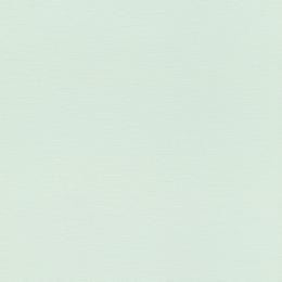 531428 Обои Rasch Natural Colors