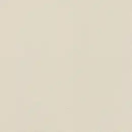 555844 Обои Rasch Natural Colors