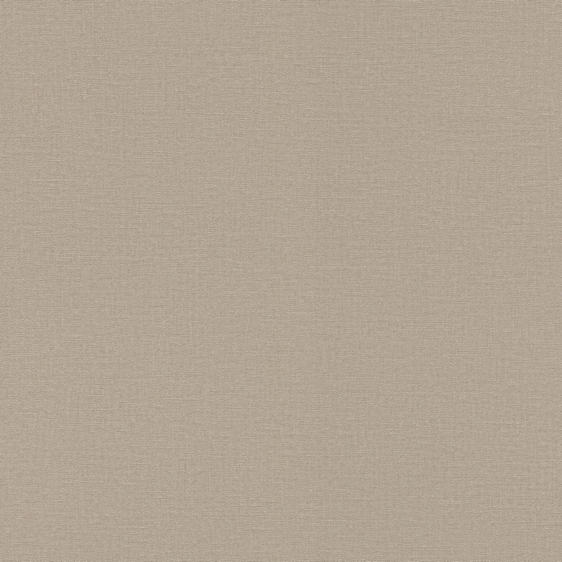 555868 Обои Rasch Natural Colors