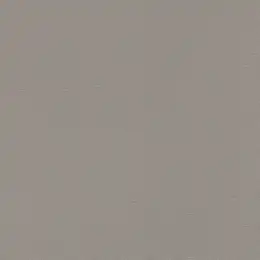 555875 Обои Rasch Natural Colors