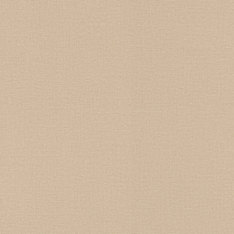 555882 Обои Rasch Natural Colors
