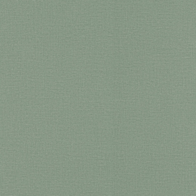 555936 Обои Rasch Natural Colors