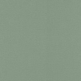 555936 Обои Rasch Natural Colors