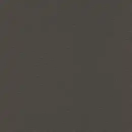 555974 Обои Rasch Natural Colors
