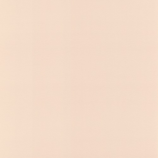 806830 Обои Rasch Salsa