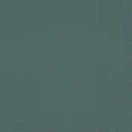 690750 Обои Rasch Natural Colors
