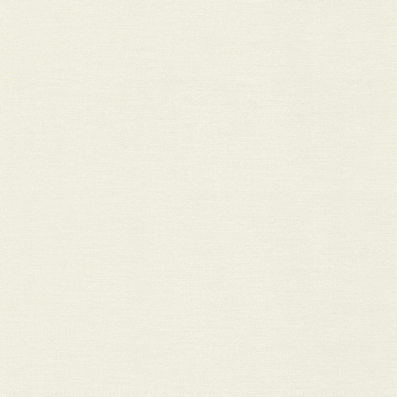 408249 Обои Rasch Natural Colors