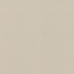 555851 Обои Rasch Natural Colors