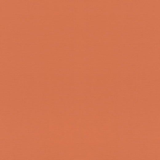 687569 Обои Rasch Natural Colors