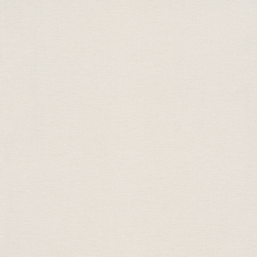 448641 Обои Rasch Natural Colors