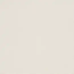 448641 Обои Rasch Natural Colors