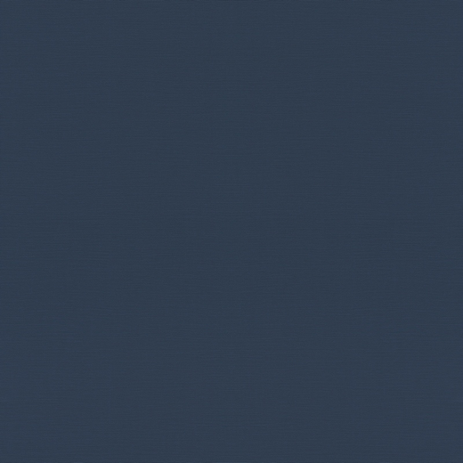 687514 Обои Rasch Natural Colors
