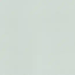 688009 Обои Rasch Natural Colors