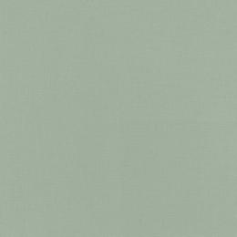 690743 Обои Rasch Natural Colors