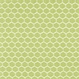 Ткань Casablanca Groove Hive 6295 Lime